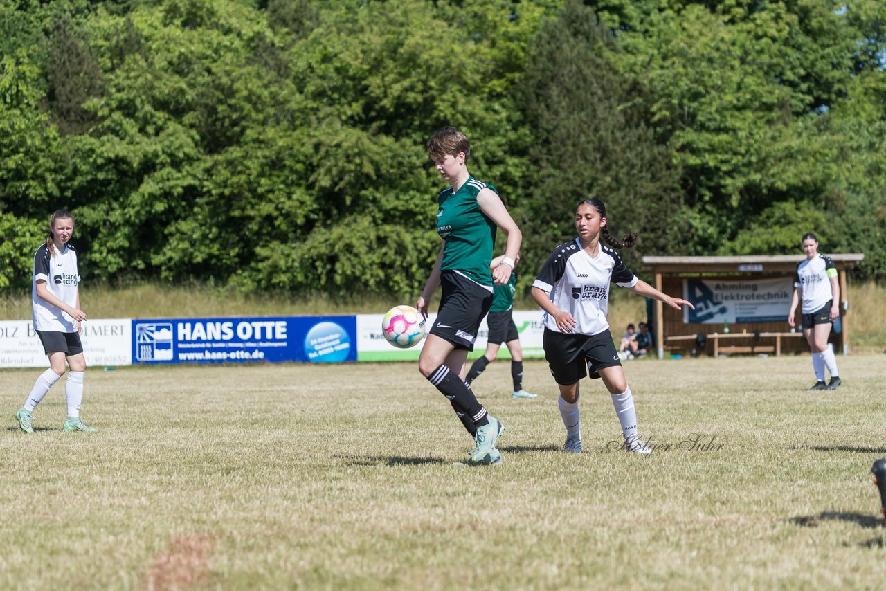 Bild 230 - wBJ TuRa Meldorf/Buesum - JFV Luebeck : Ergebnis: 1:0